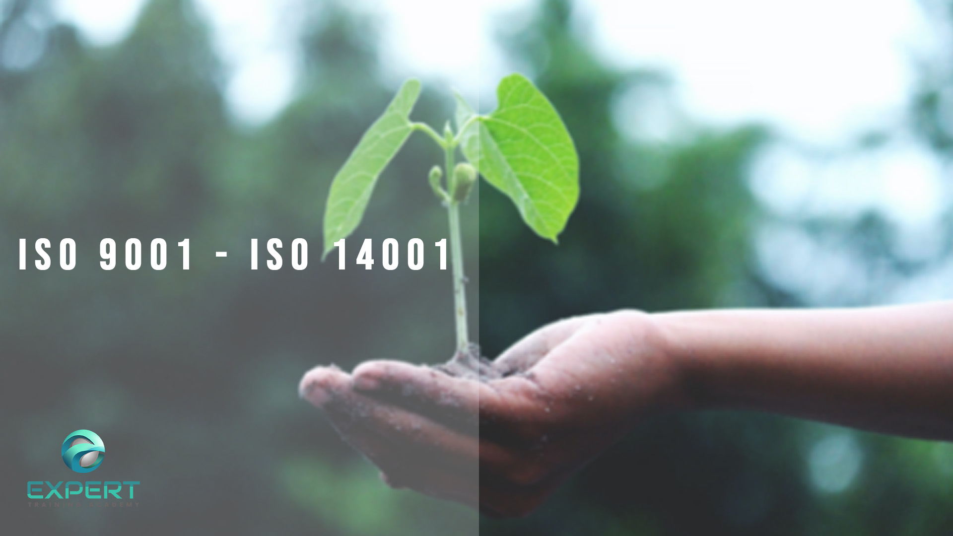 Integrasi ISO 9001 dan 14001